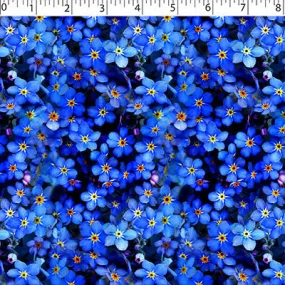 FLOWER FIELDS - FORGET-ME-NOT